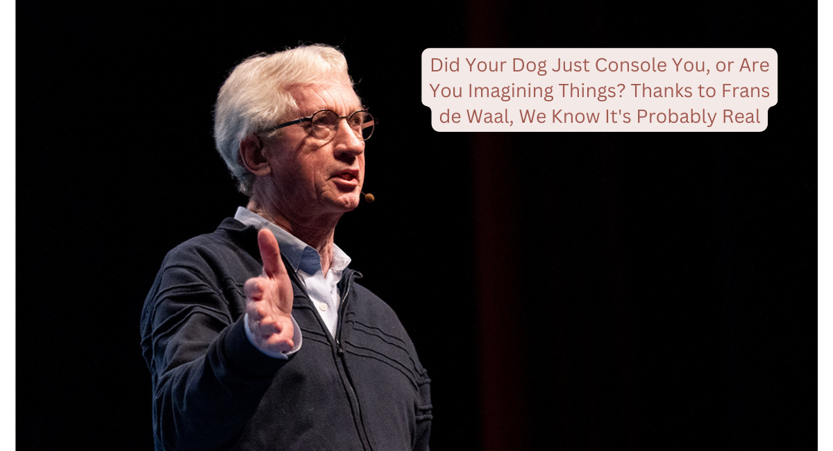 Did Your Dog Just Console You, or Are You Imagining Things? Thanks to Frans de Waal, We Know It's Probably Real