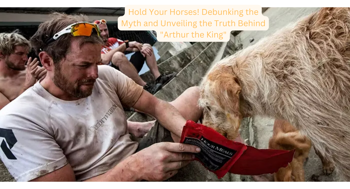 Hold Your Horses! Debunking the Myth and Unveiling the Truth Behind Arthur the King