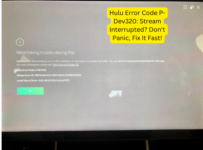 Hulu Error Code P-Dev320 Stream Interrupted Don't Panic, Fix It Fast!