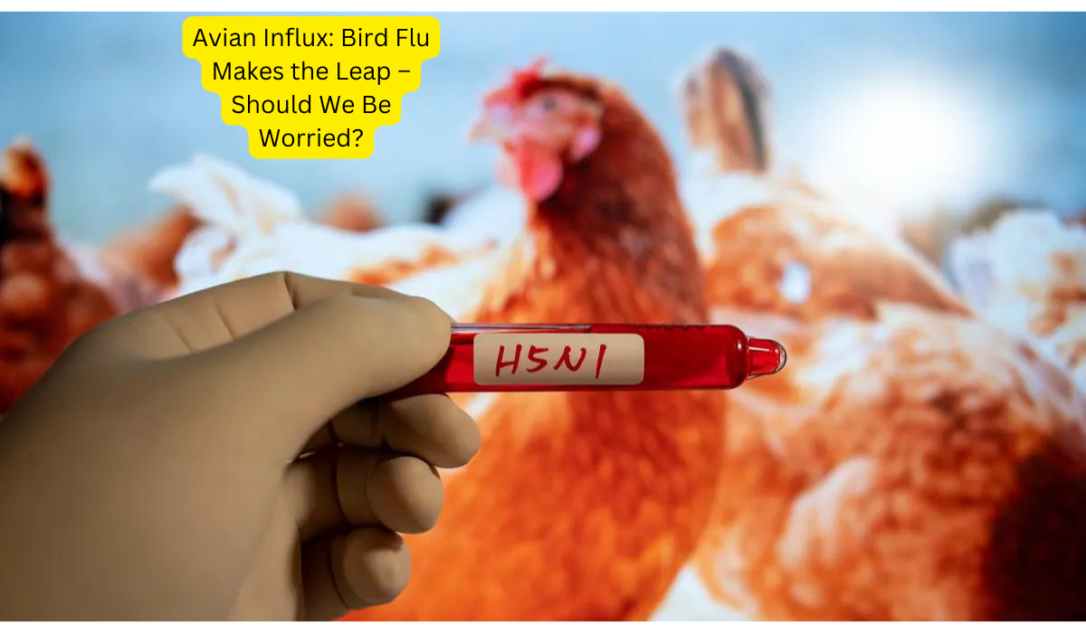 Avian Influx Bird Flu Makes the Leap – Should We Be Worried