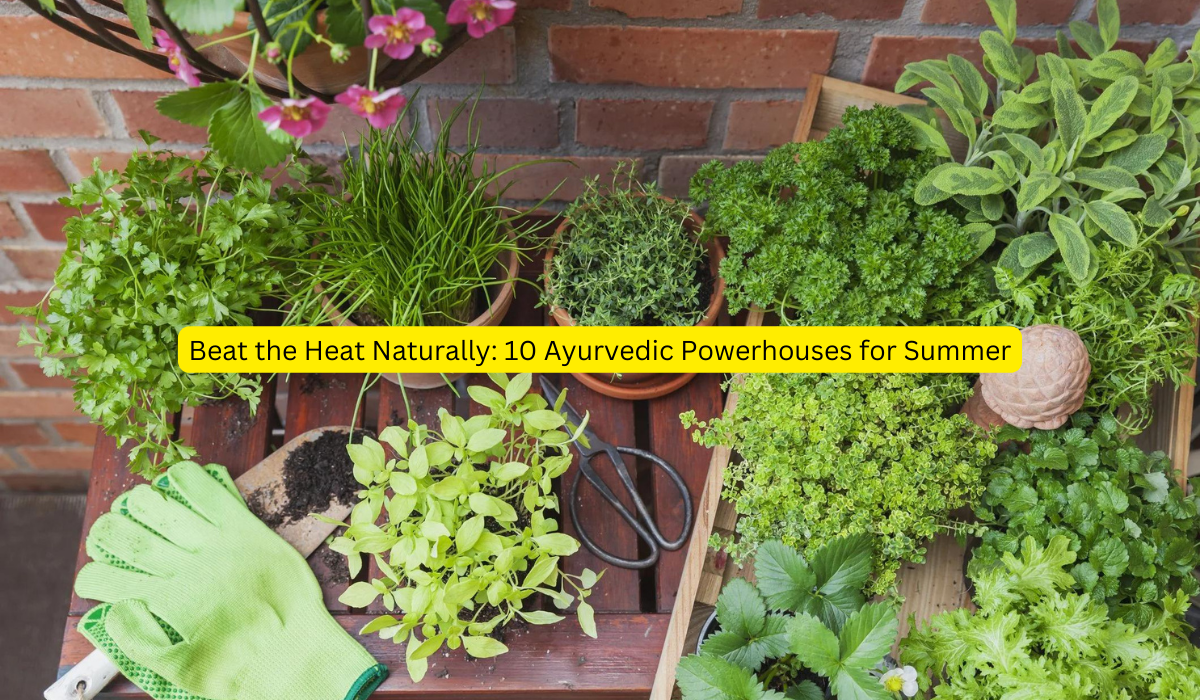 Beat the Heat Naturally: 10 Ayurvedic Powerhouses for Summer