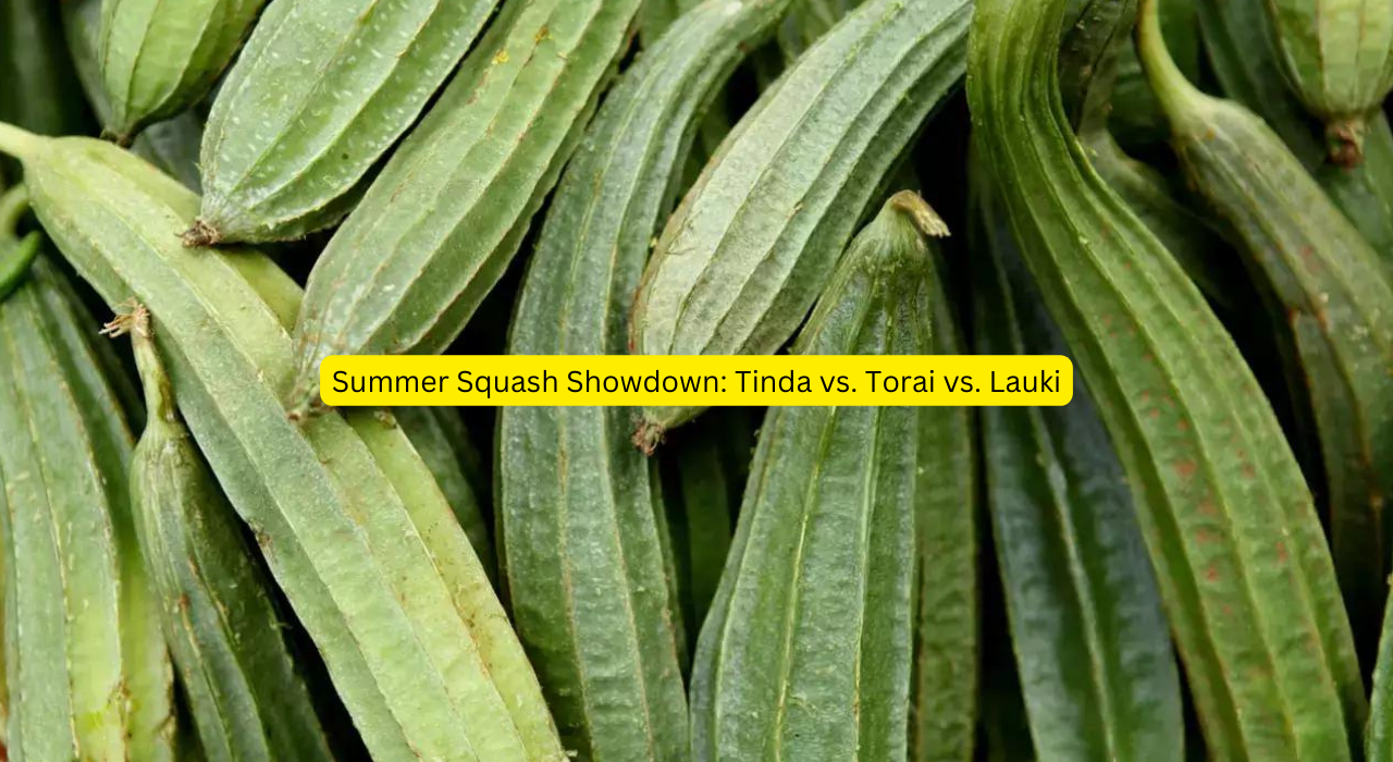 Summer Squash Showdown Tinda vs. Torai vs. Lauki