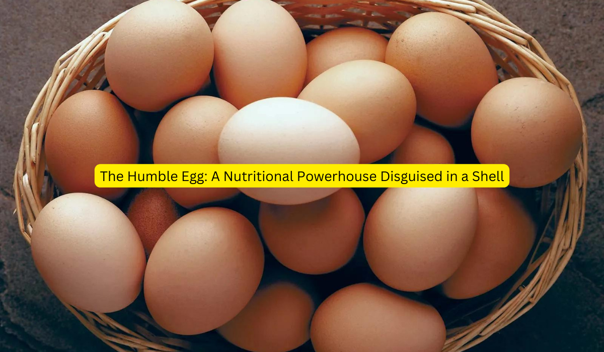 The Humble Egg A Nutritional Powerhouse Disguised in a Shell