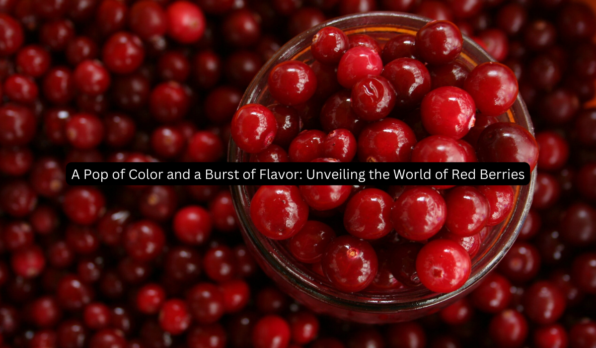 A Pop of Color and a Burst of Flavor Unveiling the World of Red Berries