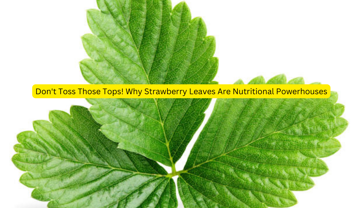 Don't Toss Those Tops! Why Strawberry Leaves Are Nutritional Powerhouses