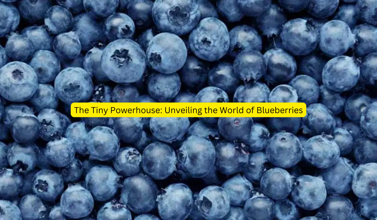 The Tiny Powerhouse: Unveiling the World of Blueberries